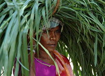 Manual labour, Kerala