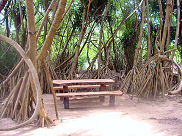  Mangroves, Negombo beach hotel in Sri Lanka