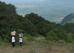Porters, our stance on people