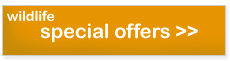 Wildlife holidays special offers
