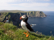 Shetland Islands holidays