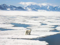 Arctic sailing voyages, Spitsbergen