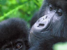 Mother and infant, PNV, Steppes Discovery