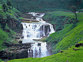 Sri Lanka wildlife & whale watching holiday