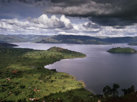 Gorilla photographic tour in Rwanda