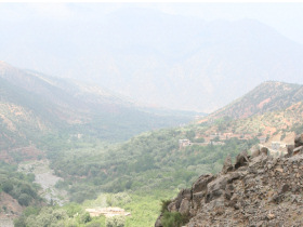 Berber