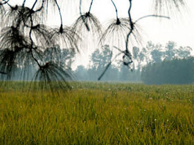 Uttarakhand homestays in the Indian Himalayas