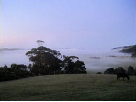 Apollo Bay accommodation on the Great Ocean Road, Australia