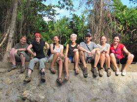 Orangutan volunteer programme in Borneo