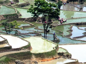 Small group tour of Yunnan, China