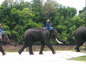 Small group tours to Thailand