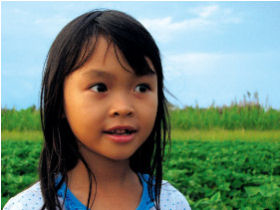 Ho Chi Minh to Hanoi tours in Vietnam