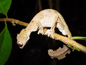 Marine conservation holiday in Madagascar
