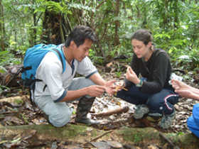Pampas and Madidi National Park tours in Bolivia