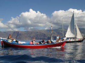 Whale & dolphin watching in La Gomera
