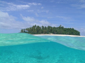 Swim with humpback whales, Tonga