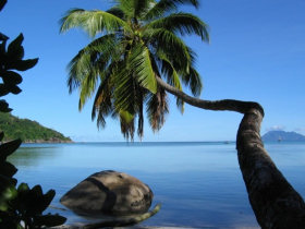 Marine conservation project in Seychelles