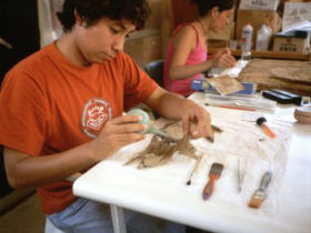 Peru archaeology volunteering