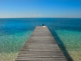 Marine conservation holiday in Belize