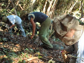 Galapagos Islands conservation work, Ecuador
