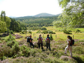Walking holidays in Scotland