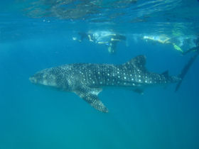 Mozambique