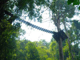2 day activity tours