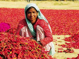 India Moghul highlights holiday