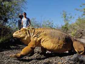 Ecuador highlands tour & Galapagos cruise
