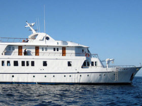 Ecuador highlands tour & Galapagos cruise