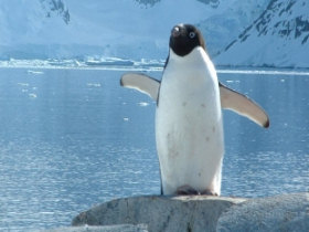 Classic Antarctica cruise