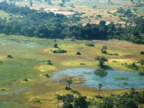 Cape Town to Victoria Falls camping safari