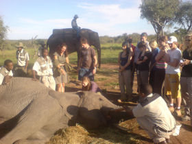 Horse riding & volunteering in South Africa
