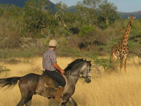 Horse riding & volunteering in South Africa