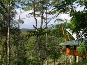Queensland bird watching holiday in Australia