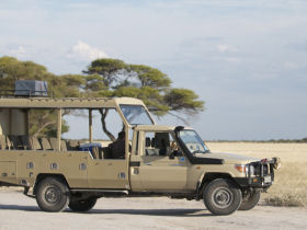 Botswana camping safari
