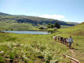 South Africa and Swaziland safari