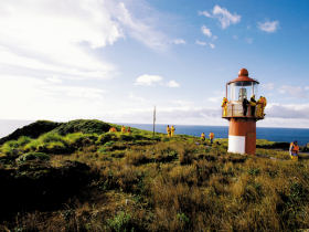 Patagonia cruises