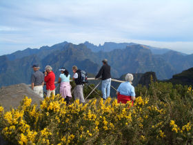 Madeira whale watching and wildlife holiday, Portugal