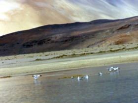 Best of Ladakh holiday in India
