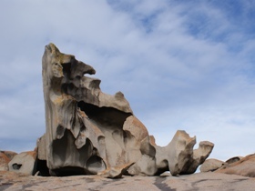 Australia wildlife holiday, NSW and SA