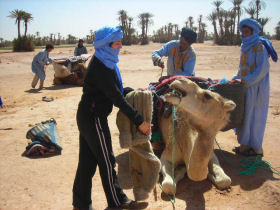 Morocco tour with community volunteering day
