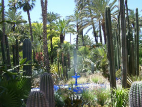 Morocco tour with community volunteering day