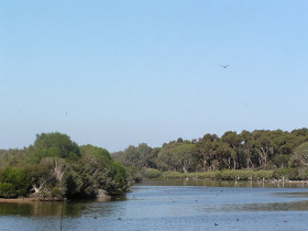Melbourne wildlife day tours, Victoria, Australia