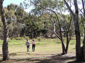 Melbourne wildlife day tours, Victoria, Australia