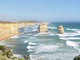 Great Ocean Road wildlife tours, Australia