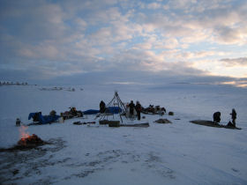 Saami reindeer migration expedition in Norway
