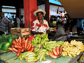 Seychelles tours, a Seychellois Creole experience 
