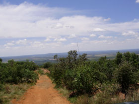 Wildlife conservation holiday in South Africa