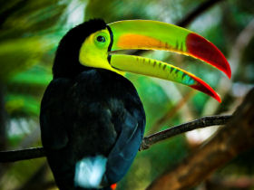Nicaragua adventure holiday